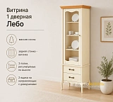 Витрина 1 дверная Лебо