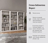 Стенка-библиотека Форест