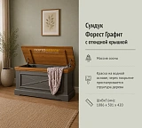 Сундук Форест Графит (Тумба-100)
