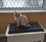 Сундук Marlette