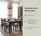 Обеденная группа Форест Графит
