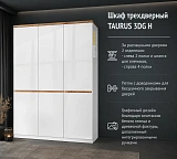 Шкаф трехдверный TAURUS 3DG H