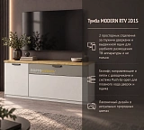 Тумба MODERN RTV 2D1S