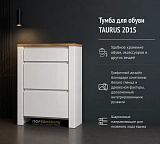Тумба для обуви TAURUS 2D1S