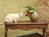 Мебель Марсель