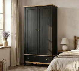 Фото Шкаф двухдверный NN 21 Пенни Блэк комбинированный