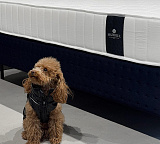 Матрас Materlux Aventino Multi Forte