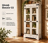 Шкаф Викинг 03