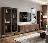 Тумба ТВ с 2 ящиками и 2 распашными фасадами Bryce