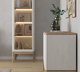 Витрина ICON’S РВ 101