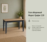Стол обеденный Форест Графит 120