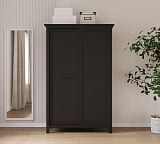 Шкаф купе двухдверный HEMNES Кымор