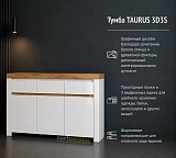 Тумба TAURUS 3D3S